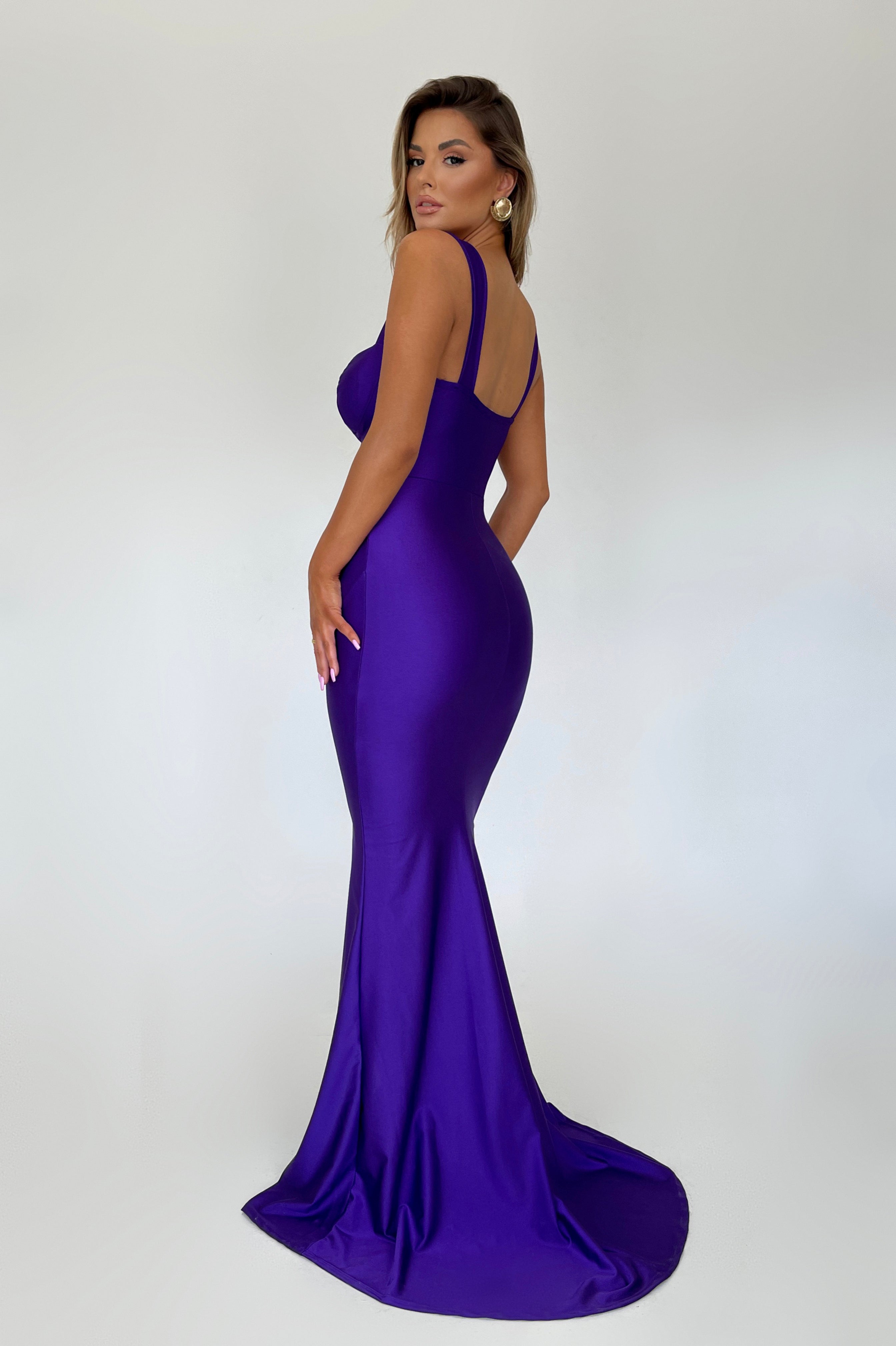 Aneida Purple Dress