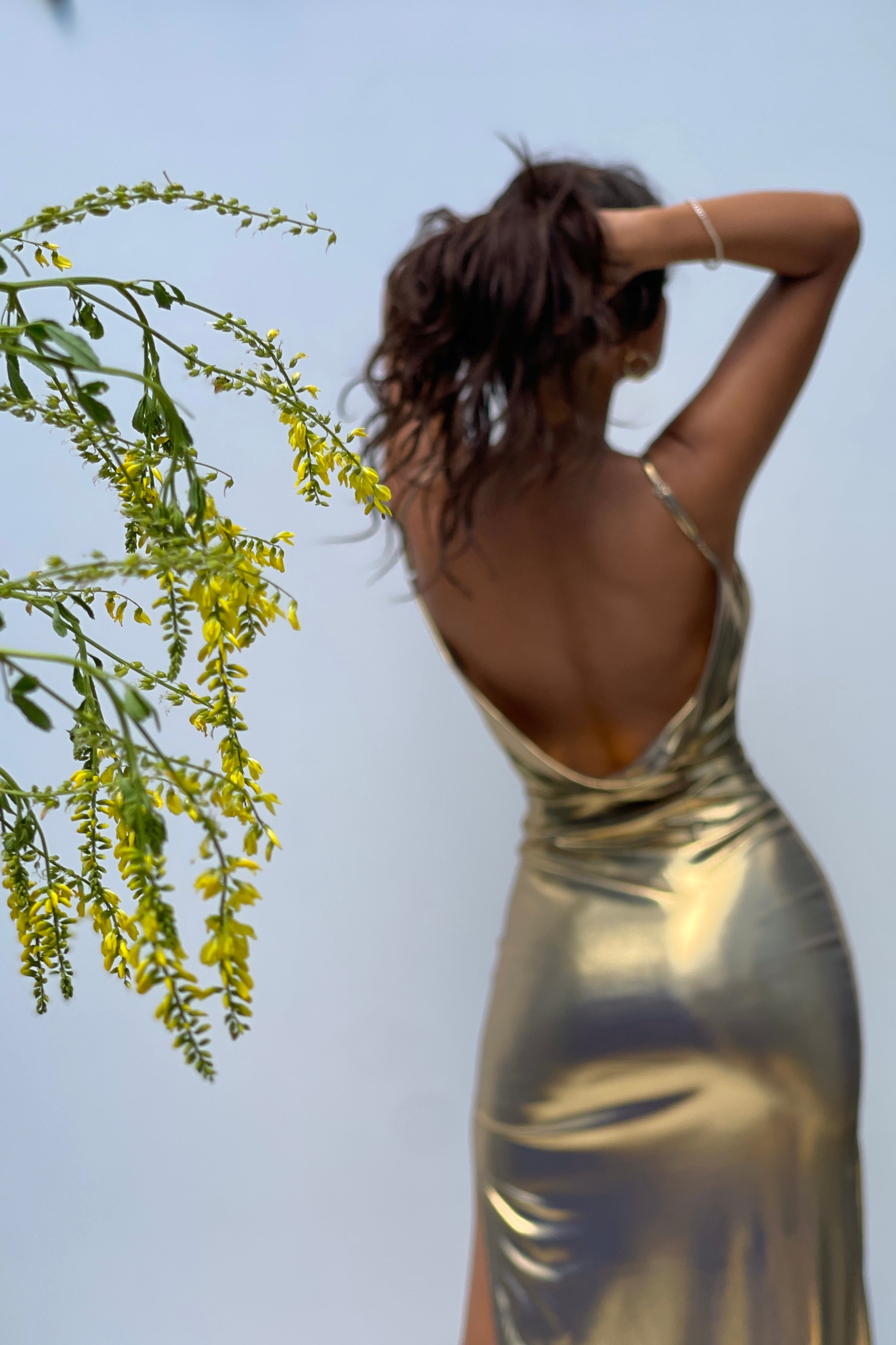 Arna Gold Dress